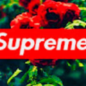 Meet your Posher, Amin